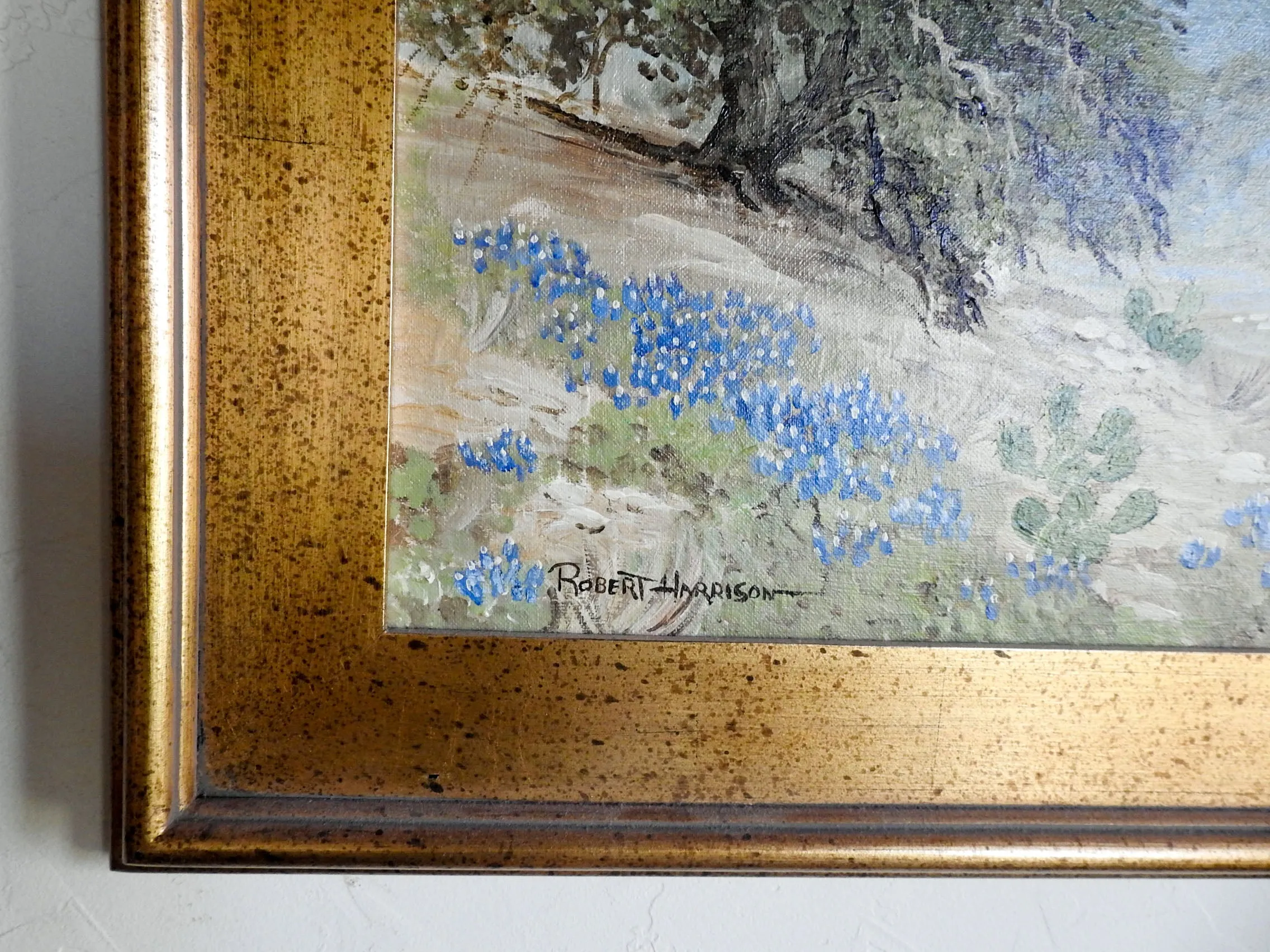 Bluebonnets Oil Painting By Robert Harrison