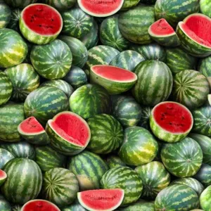 Fruit Fabric, Watermelon Fabric, Elizabeth's Studio