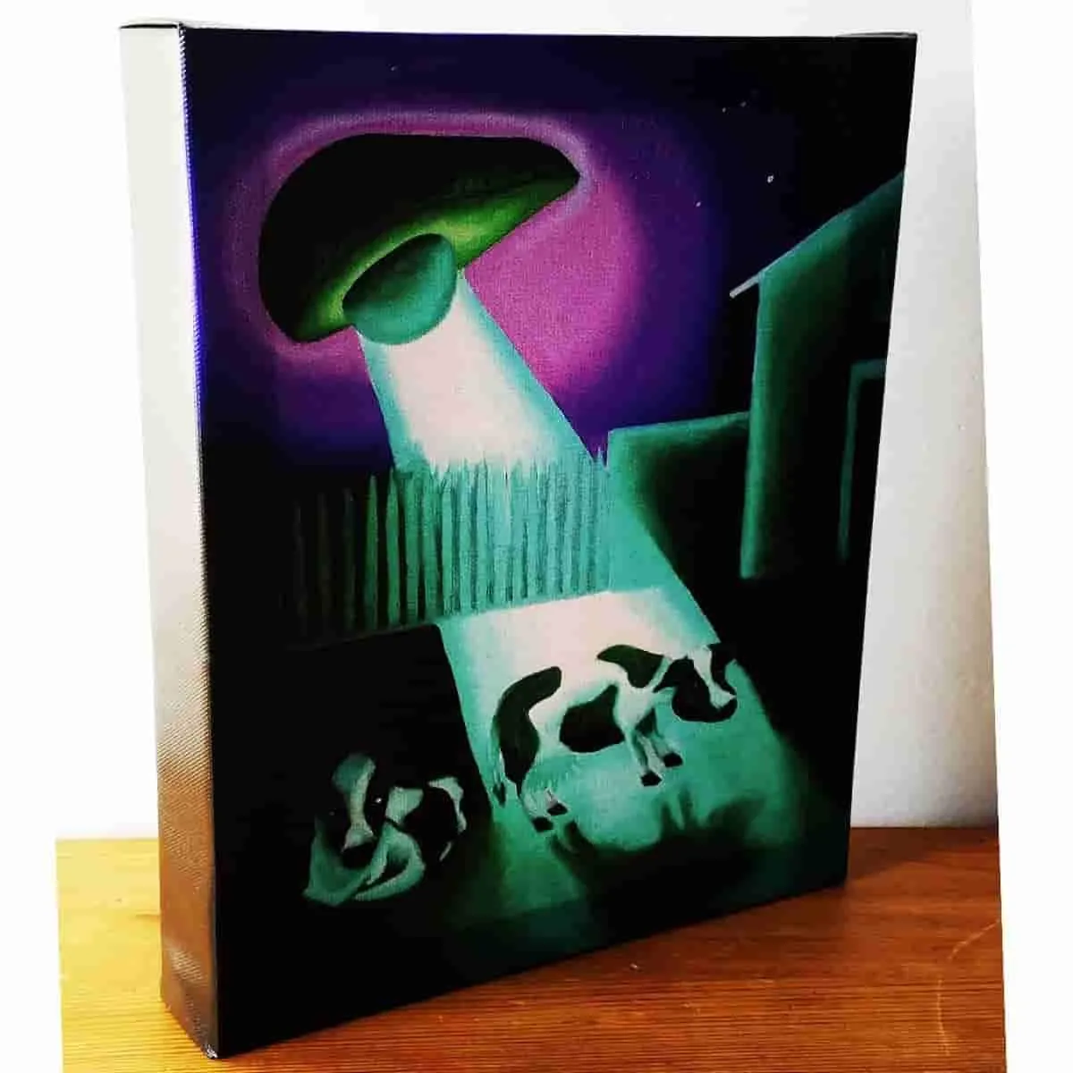 "Missing Time" UFO Avocado Gallery Wrapped Canvas Print 8x10 by JesseJFR