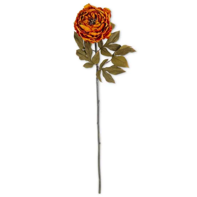 Rusty Peony Stem